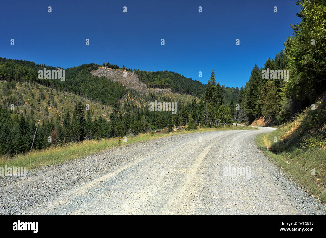 Ein kies Protokollierung Straße läuft aber durch BLM (US Büro des Land-Managements) Ländern, in der Nähe von Grants Pass, Oregon, mit Blick auf die klaren Wälder. Stockfoto