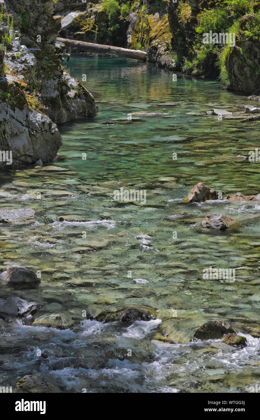 Die Elk River fließt zwischen den Klippen, mit Wasser so klar die Felsen auf der Unterseite sichtbar sind, in der Oregon Coast Range Stockfoto