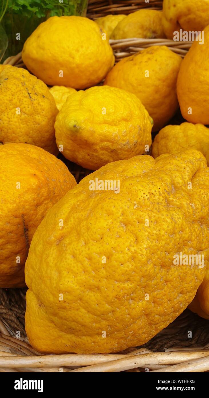 Korb voller Frische reife Zitronen in Sizilien, Italien Stockfoto