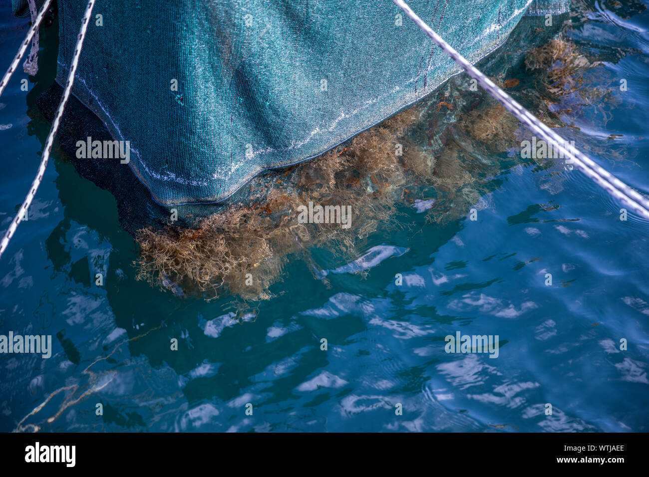 Der Bogen der kleinen Fischereifahrzeug mit Algen klemmt auf Boote Rumpf. Stock Bild. Stockfoto