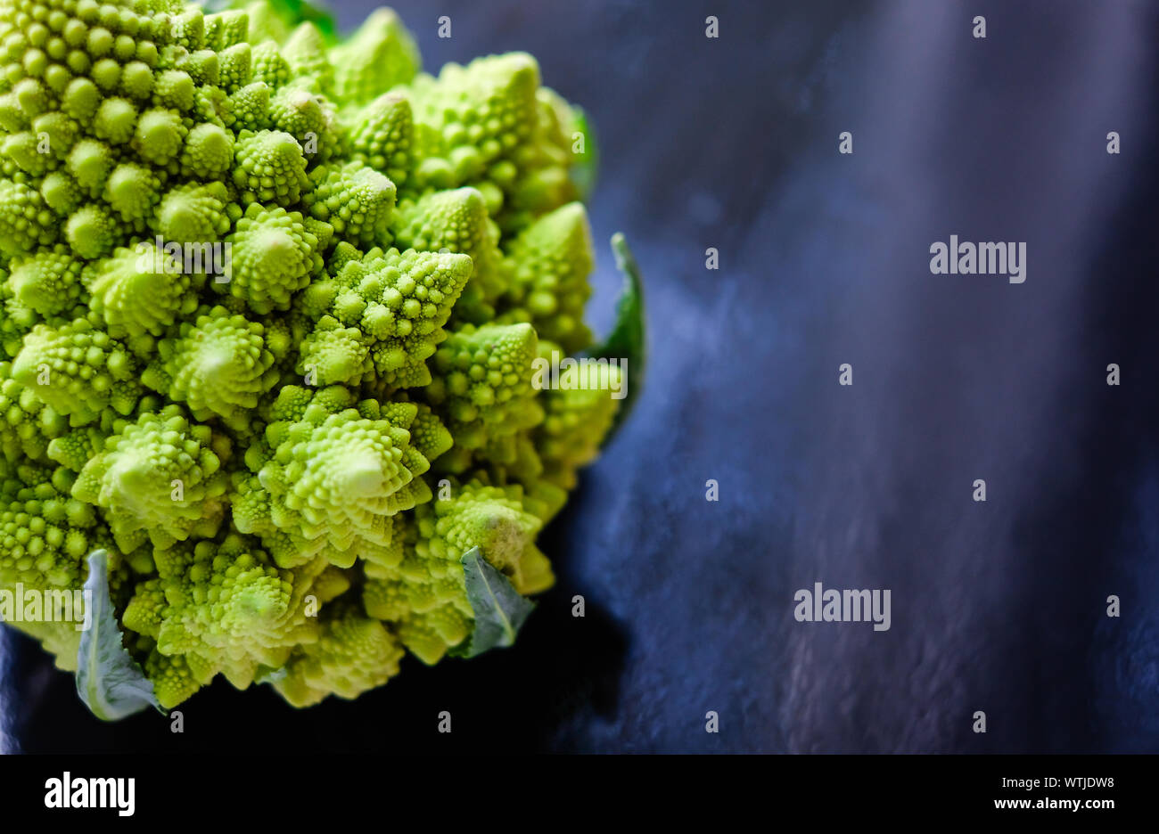 Nahaufnahme des erstaunlichen Romanesco Brokkoli oder römischen Blumenkohls auf nassem dunkelblauen Hintergrund. Seine Form ist eine natürliche Annäherung an ein Fraktal. Stockfoto