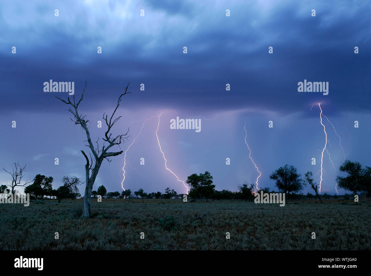 Sommer Gewitter, North Western Victoria, Australien, Stockfoto