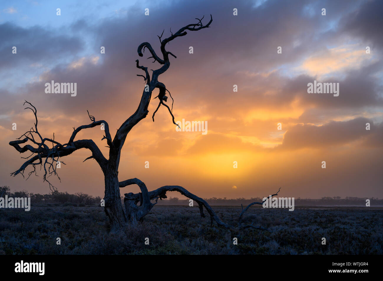 Am späten Nachmittag Licht auf einem staubigen Tag, Fletchers See, NSW, Australien, Frühling 2019 Stockfoto