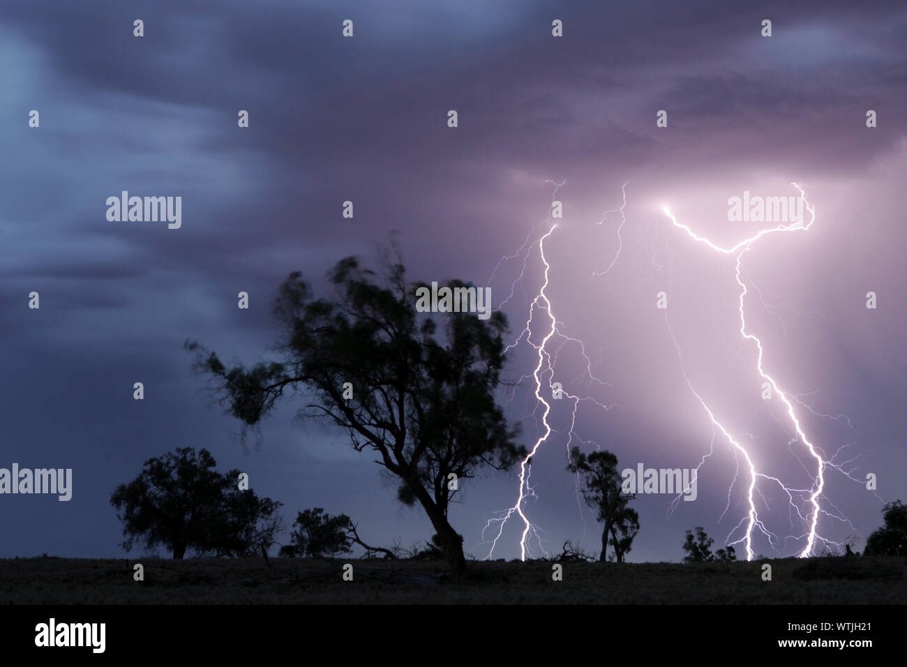 Sommer Gewitter, Victoria, Australien Stockfoto