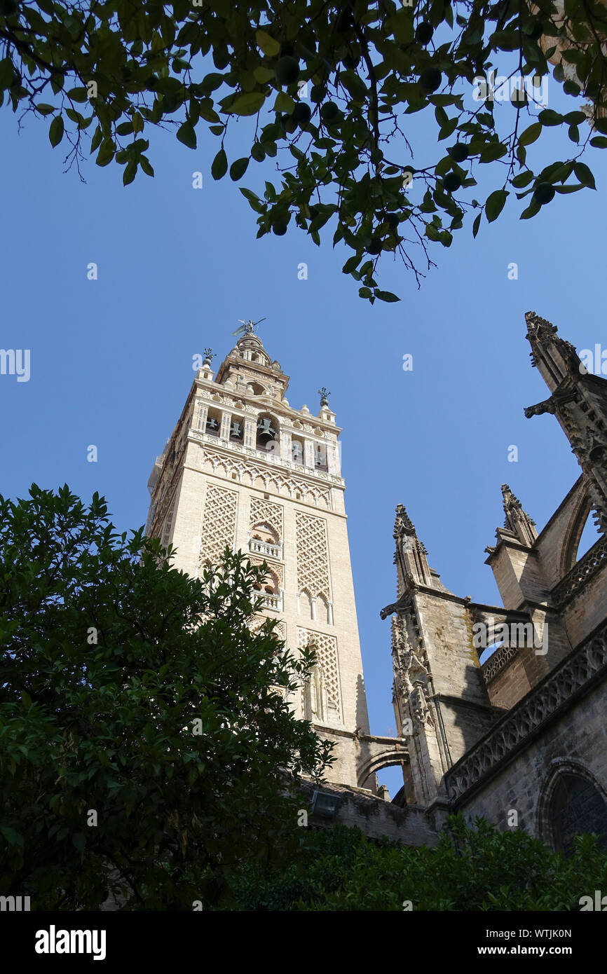 Real Alcazar, Sevilla, Spanien. Stockfoto