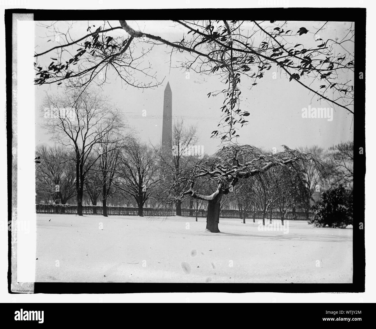 Denkmal, [3/7/23] Stockfoto