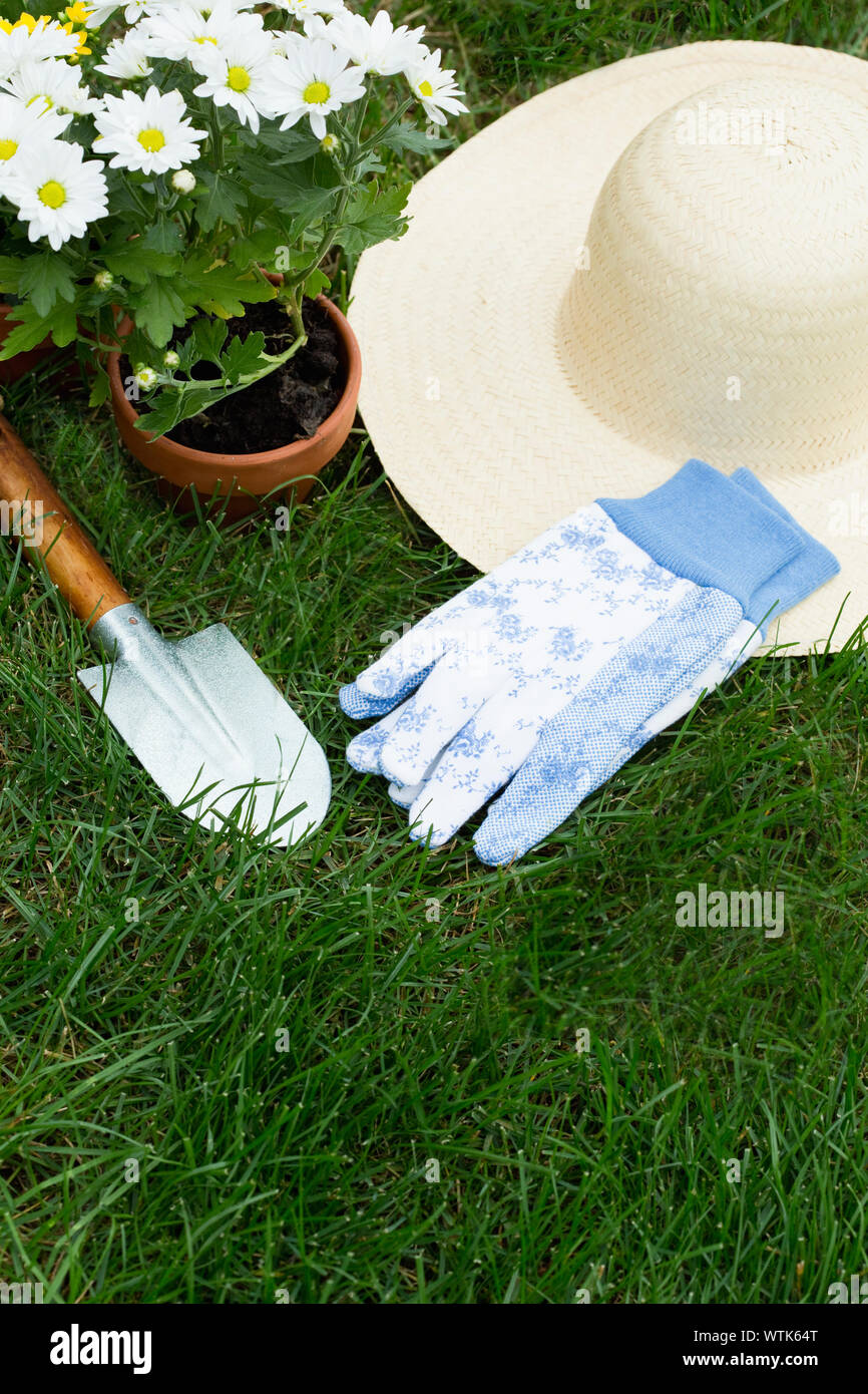 Eingemachte Blumen und Garten Handschuhe und Mütze auf Gras Stockfoto