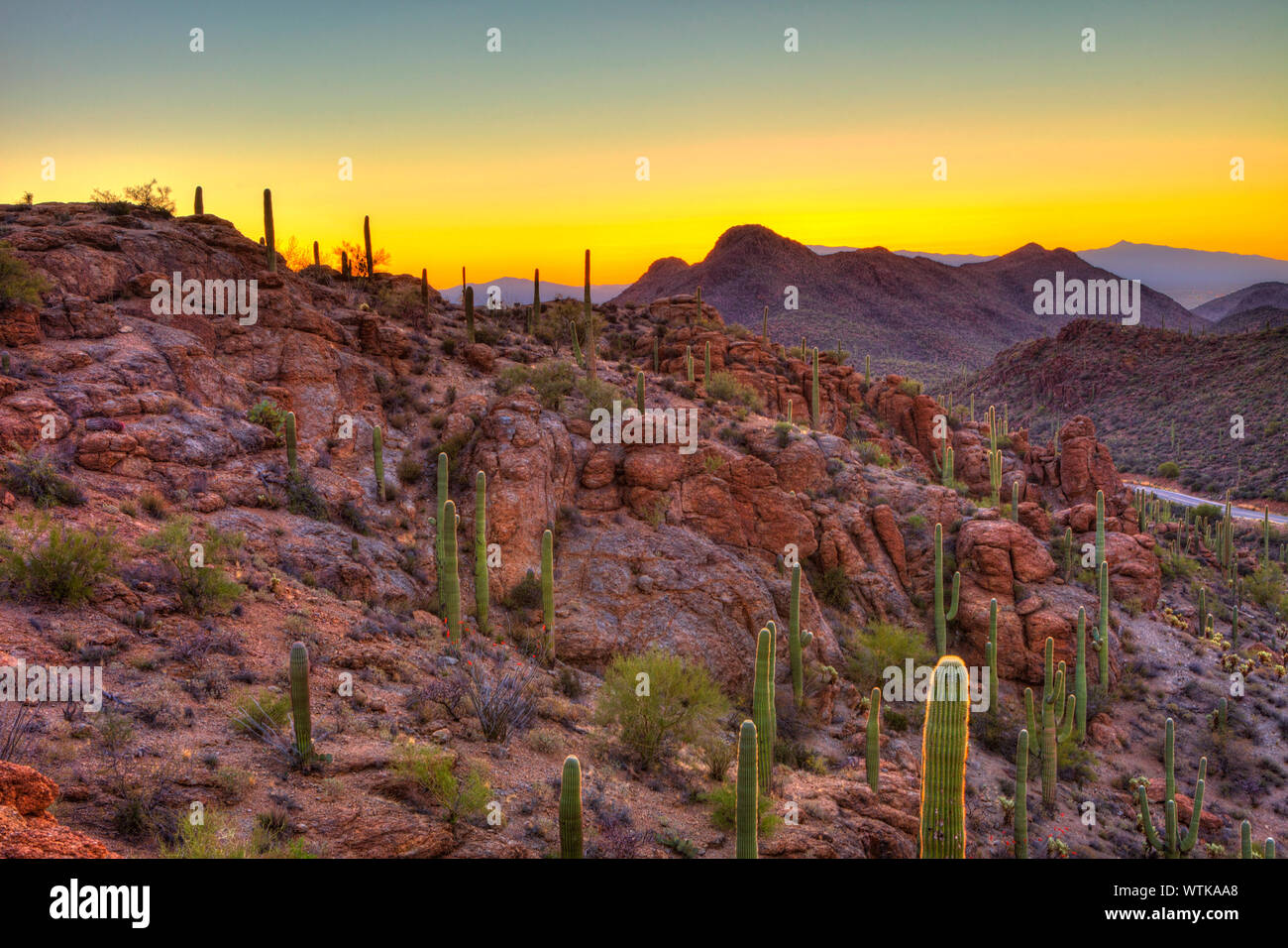 Sonnenaufgang in der Sonora Wüste, HDR-Bild Stockfoto