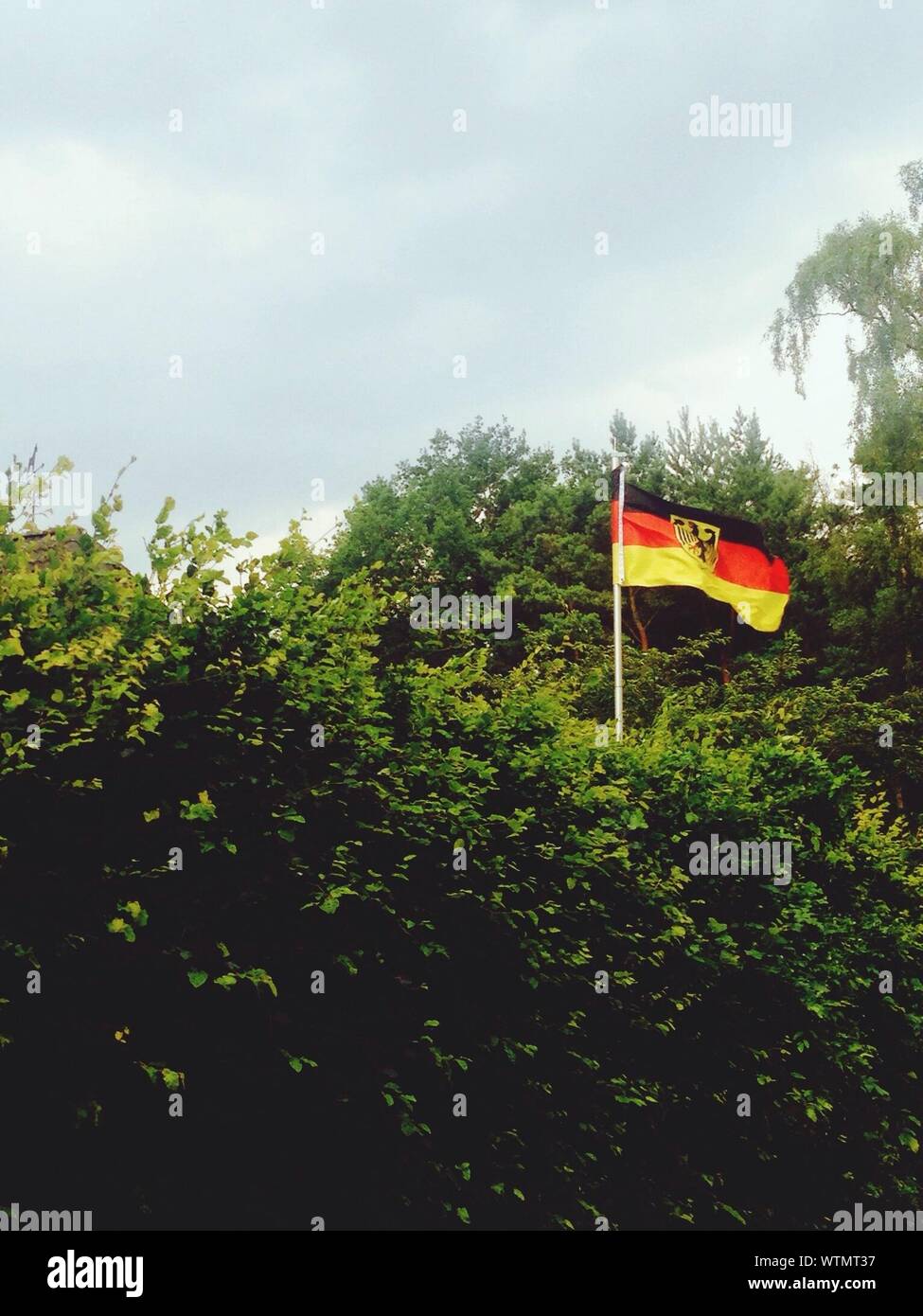 Flagge von Bundesbehörden in Deutschland Klappen in der Luft Stockfoto