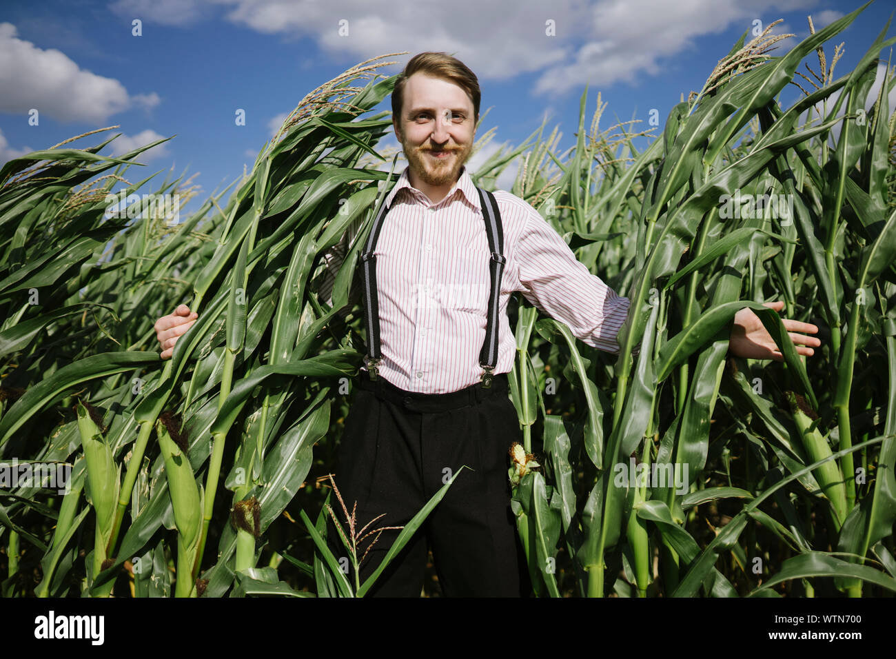 Gerne Landwirt Kerl in Mais stehend Stockfoto