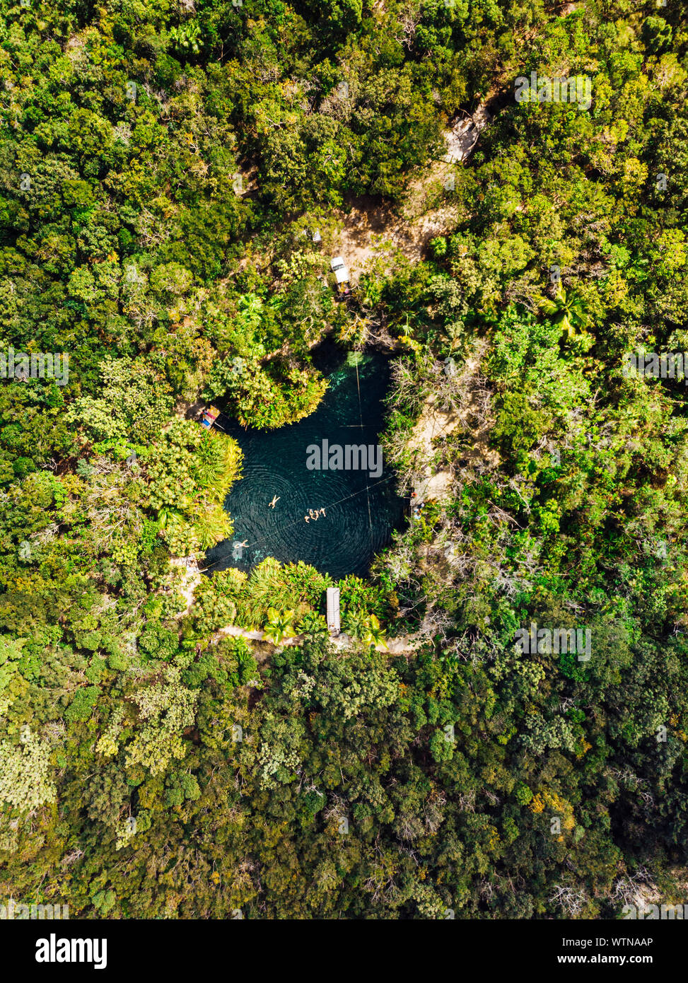 Nicht erkennbare Gruppe von Menschen Schwimmen im sauberen Wasser Cenote Crystal Stockfoto