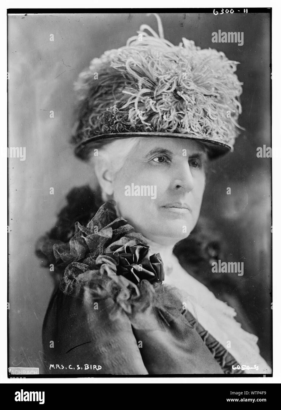 Frau C.S. Vogel Stockfoto