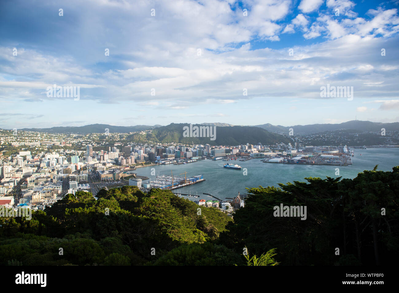 Scenics um Wellington, Neuseeland Stockfoto