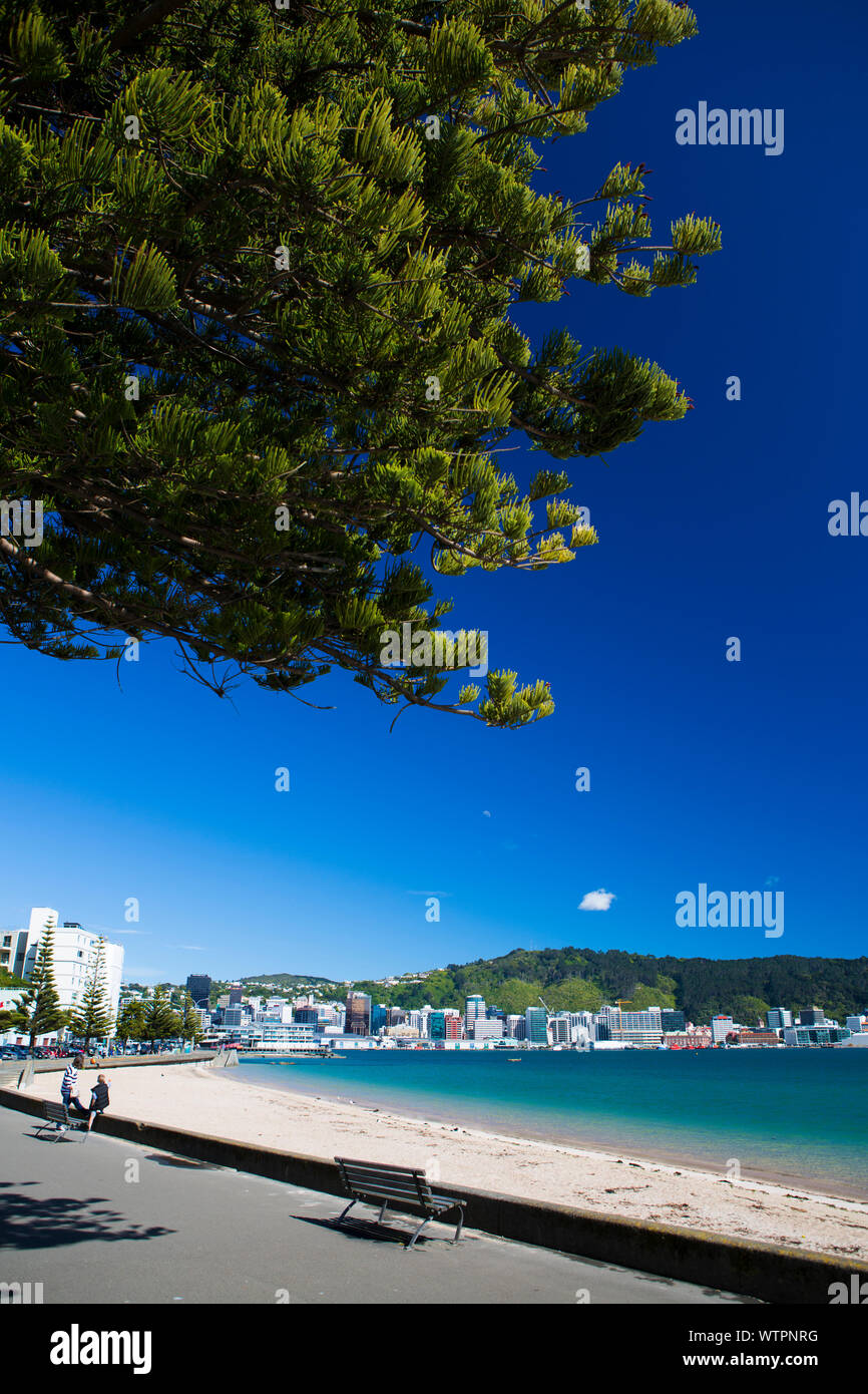 Klares Wasser um das Oriental Bay, Wellington, Neuseeland. Stockfoto