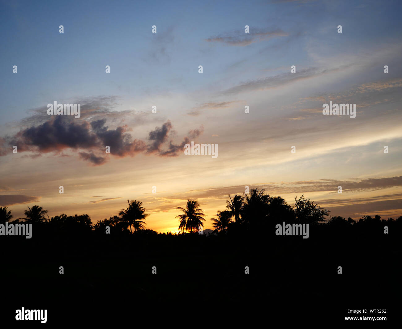 Silhouette der Kokospalme mit schwarz und orange Farbe flauschigen Wolke bei Sonnenuntergang, weiße Zuckerwatte Wolken auf die tropischen blauen Himmel bei Nacht, Thailand Stockfoto