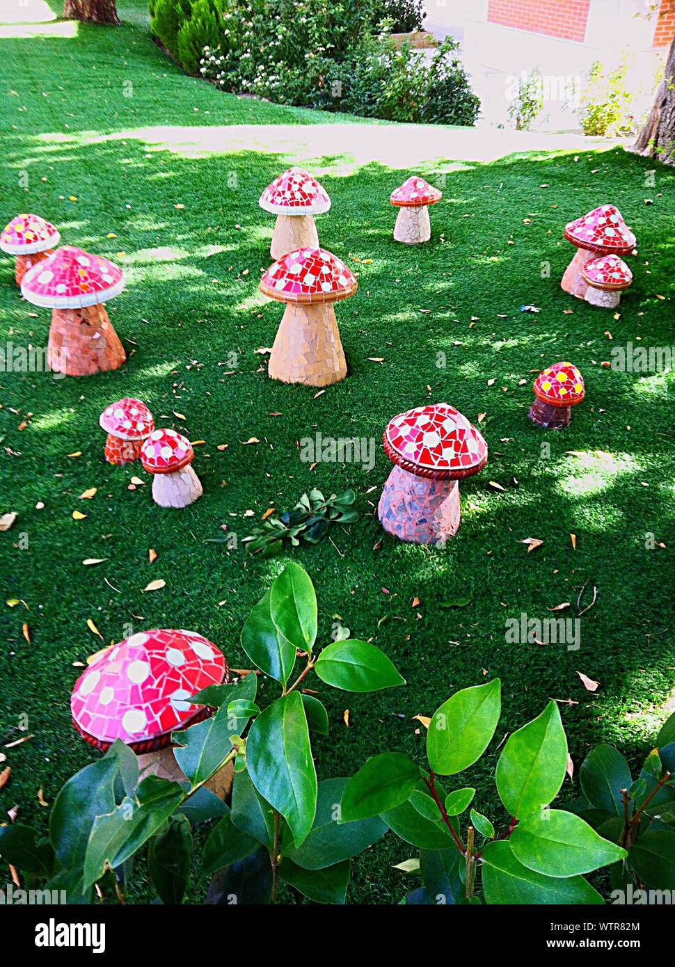 Pilze garten Fotos und Bildmaterial in hoher Auflösung Alamy
