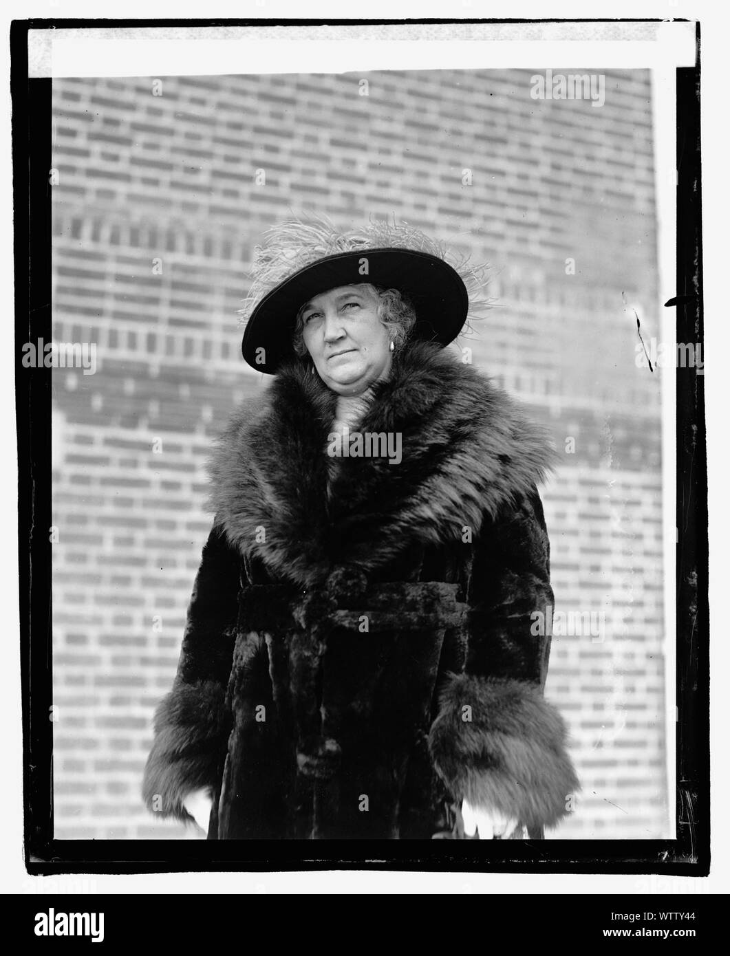 Frau Rush Holland Stockfoto