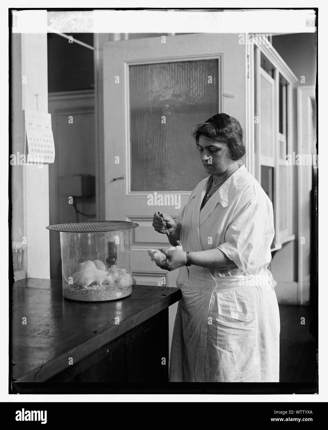 Frau Sadie A. Carlin test Serum in US-amerikanischen S. H.S., 7/8/26 Stockfoto