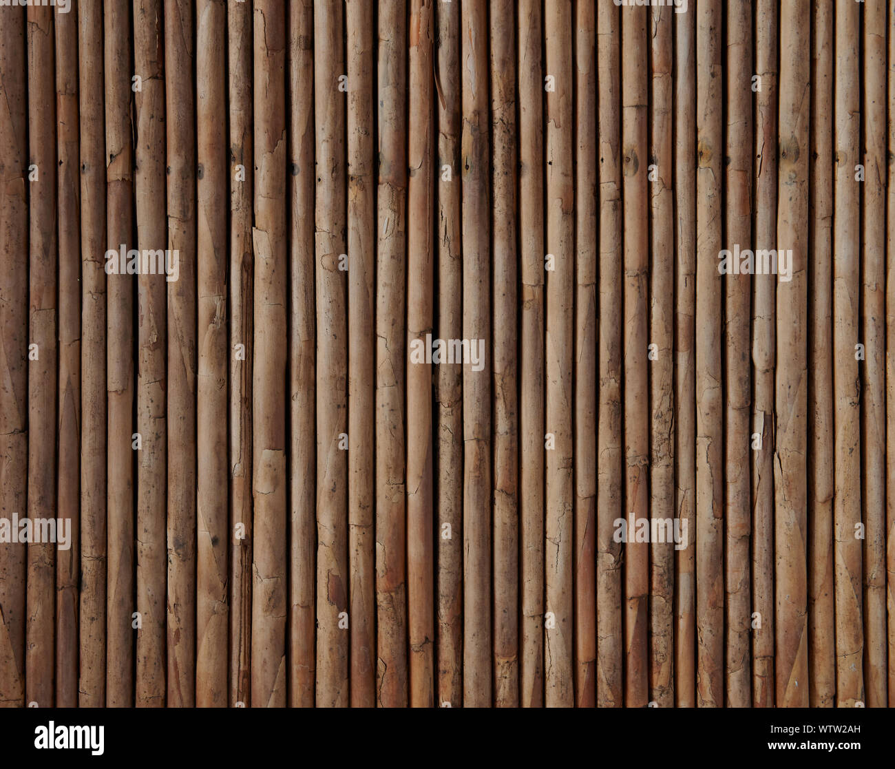 Bambus Dach Hintergrund. Muster der gelben trockenes Holz Stroh Stockfoto