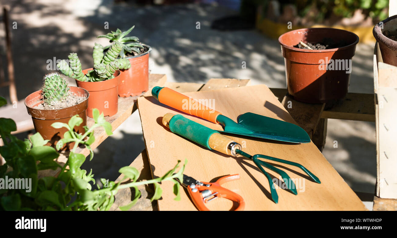 Stein, Kunststoff und farbige Keramik Blumentöpfe voller Sand bei Stoß Stockfoto