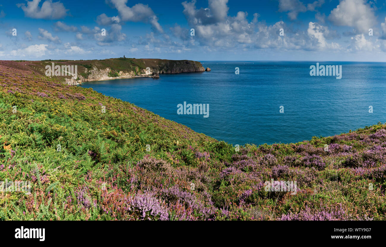 Malerische horizontale Ansicht der Atlantischen Küste mit lila Heide wiesen am Kap Frehel in der Bretagne in Nordfrankreich Stockfoto