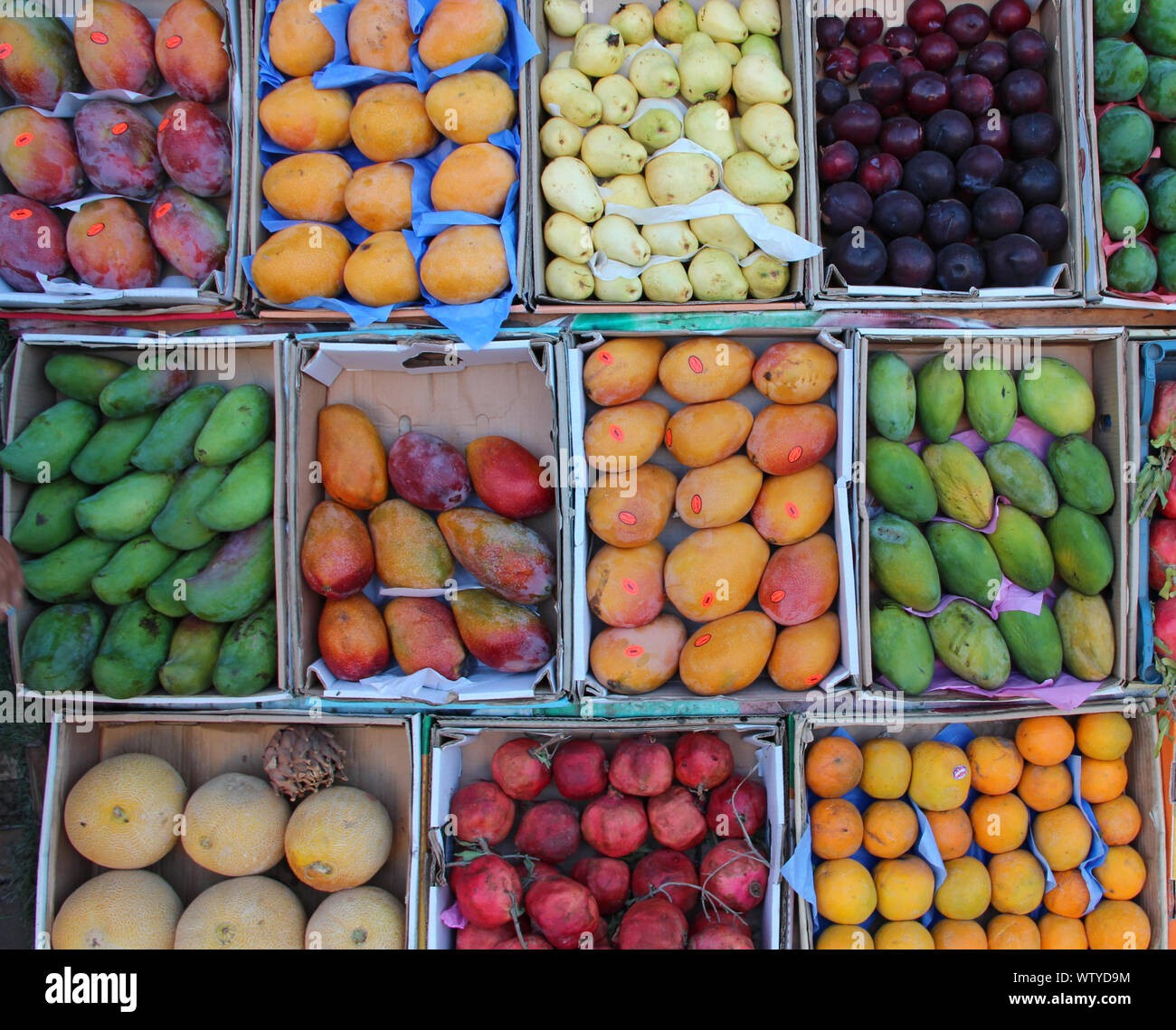 Früchte werden in Fach von Street Hersteller verkauft. Obst Fächer für Verkauf von Mangos, Granatäpfel, Bananen, Pflaumen, Guave, Orangen. Frisches Obst im Shop. Obst Stockfoto