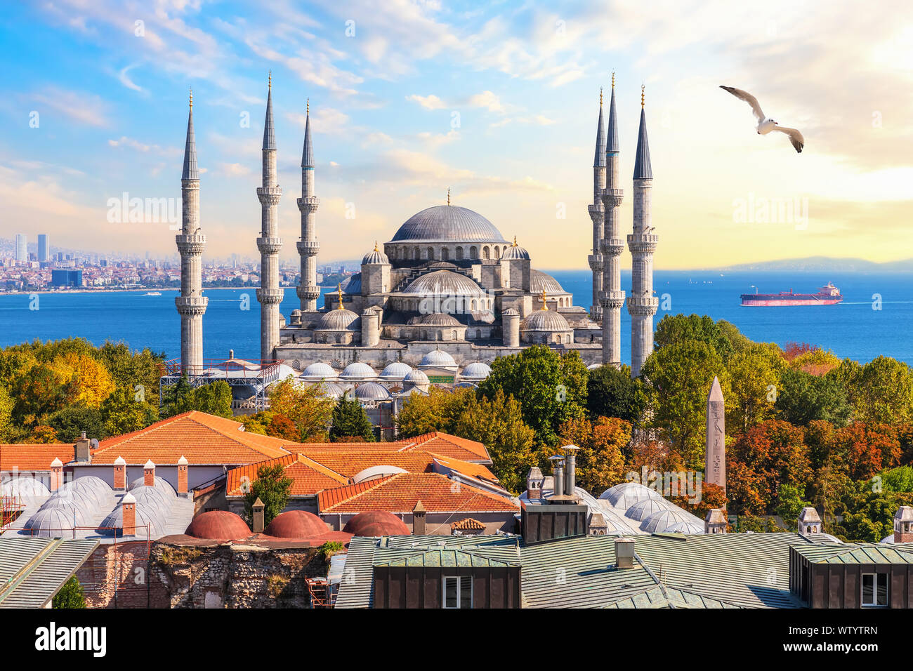 Die Blaue Moschee von Istanbul, schöne Aussicht. Stockfoto
