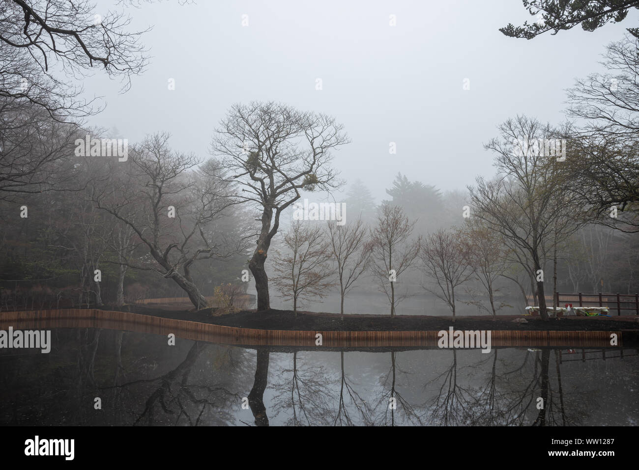 Kumobaike Teich Winterlandschaft Aussicht, verdorrten Baum auf der Oberfläche in der nebligen Tag in Karuizawa, Präfektur Nagano, Japan widerspiegelt Stockfoto