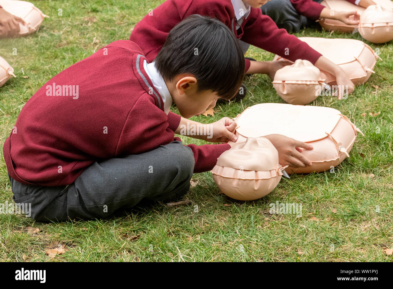 London, UK, 12. September 2019 Das Britische Rote Kreuz Hosts eine Demonstration von 100 Schulkindern die Durchführung von Erste Hilfe außerhalb der Häuser des Parlaments die Verwirklichung der erste erste Hilfe in der Schule abgebildeten männlichen Schüler arbeitet auf einer Reanimation Puppe Credit Ian DavidsonAlamy Leben Nachrichten zu markieren Stockfoto