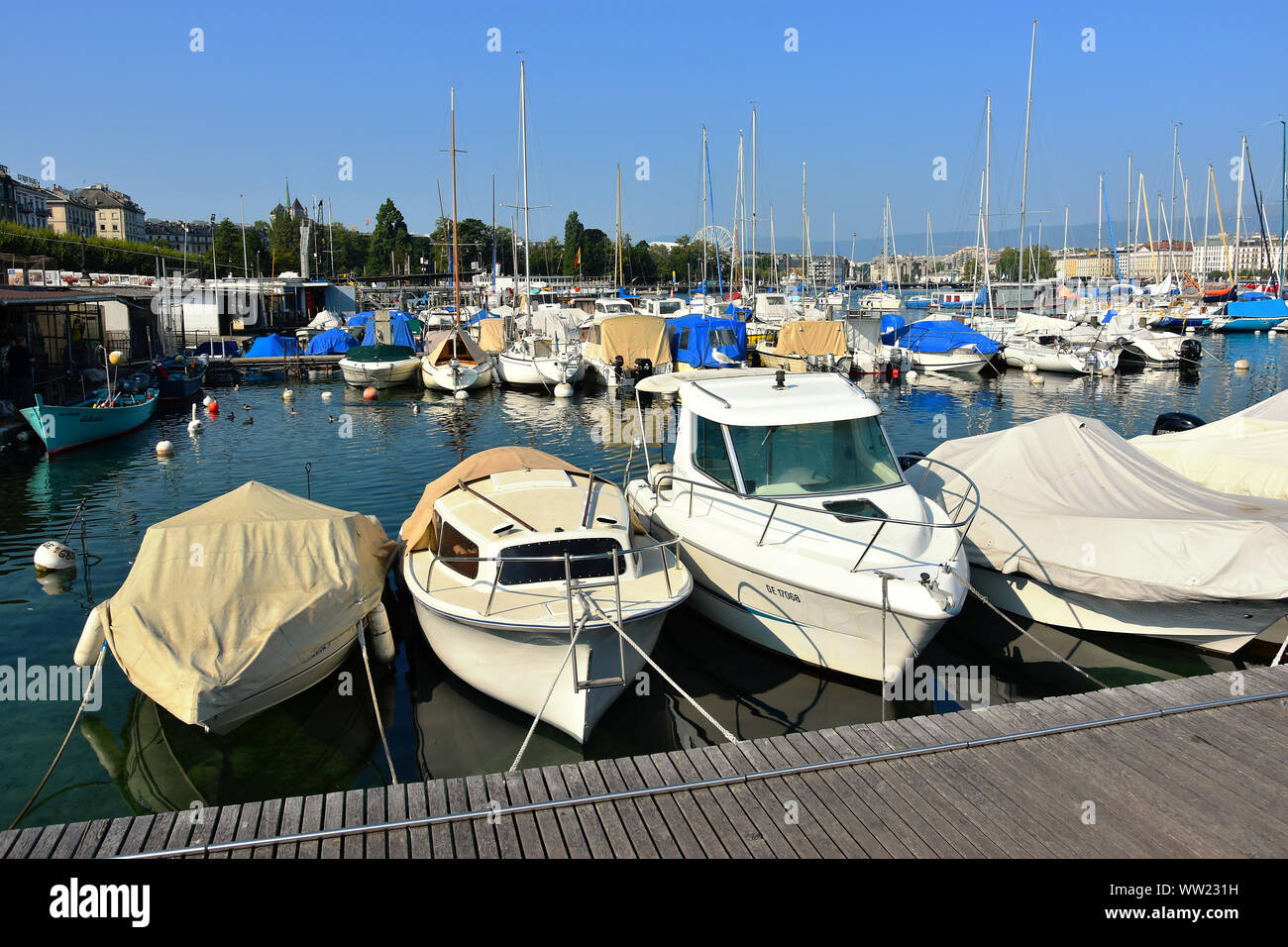 Genf, Schweiz - 29 AUGUST 2019. Genf Marina am Ufer des Genfer See, Schweiz. Stockfoto