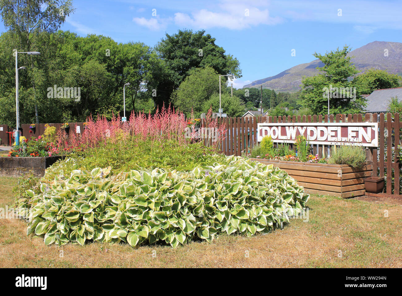 Blume Anzeige an dolwyddelan Bahnhof, Wales Stockfoto