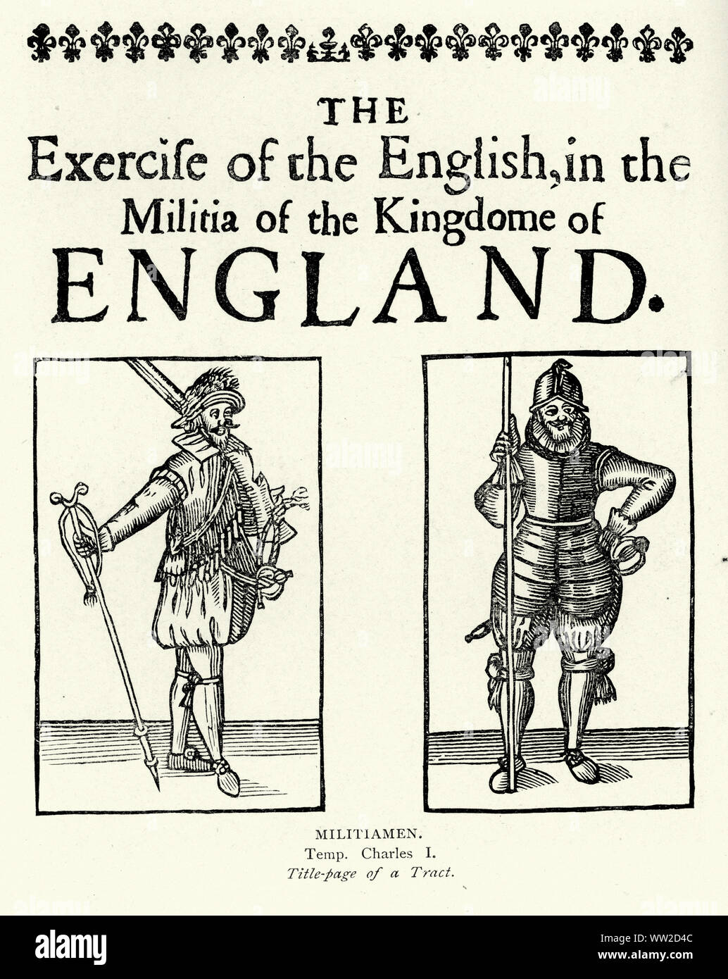 Englisch milita Soldaten, 17. Jahrhundert Englischer Bürgerkrieg. Soldat bewaffnet mit Muskete und Hecht. Stockfoto