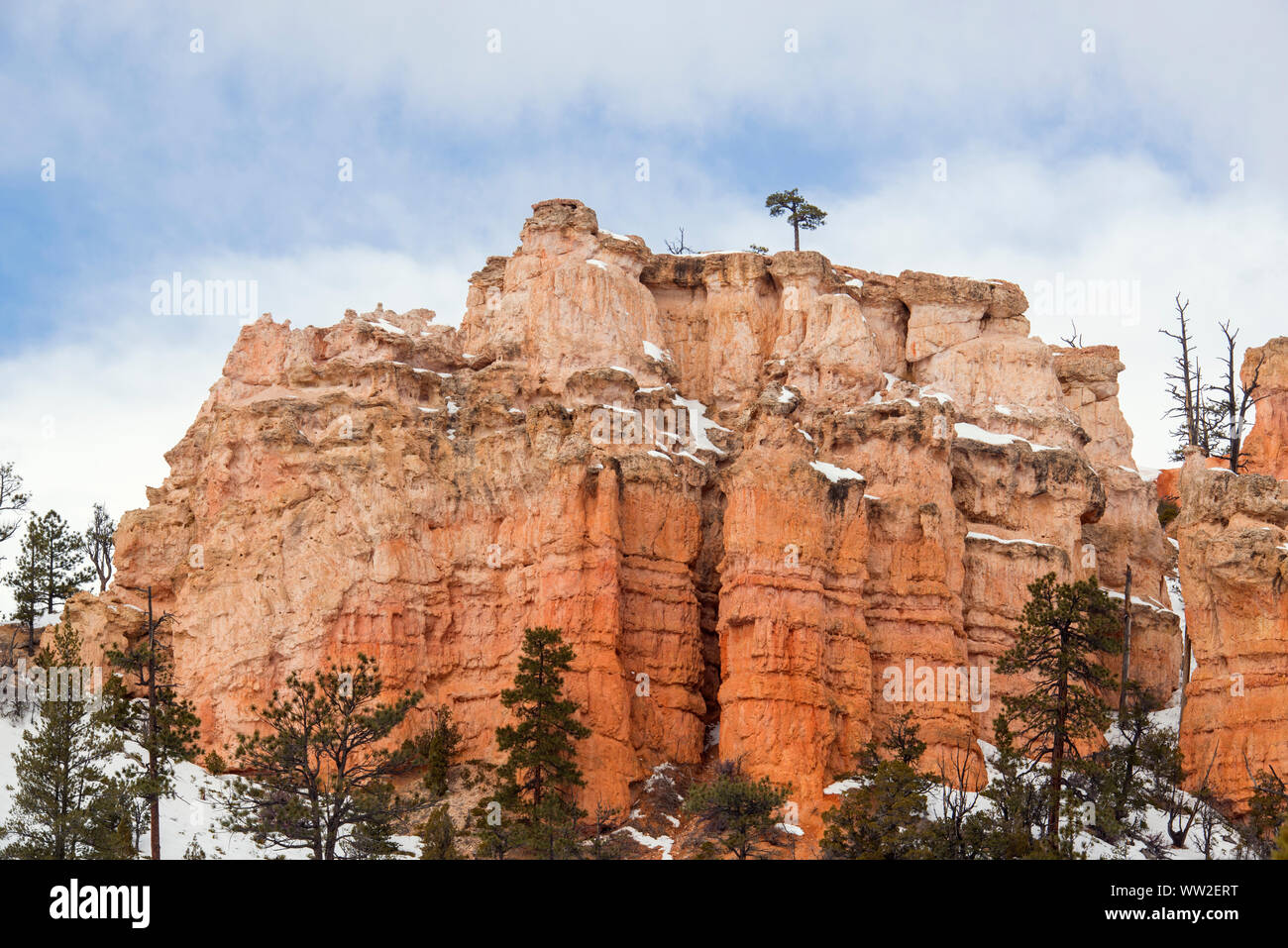 Hoodoos mit Schnee im Winter, Bryce Canyon National Park, Utah, USA Stockfoto