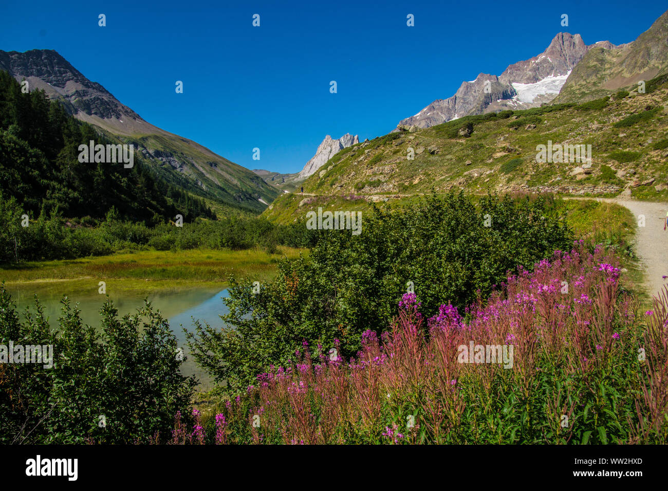 See combal, Val Veny, Italien Stockfoto