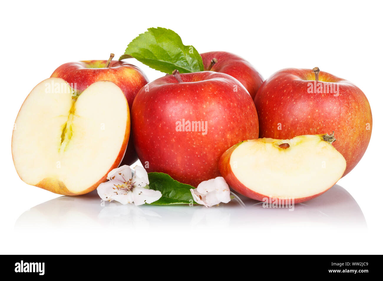 Äpfel Apfel Obst frisches Obst rote Blüten auf weißem Hintergrund Stockfoto