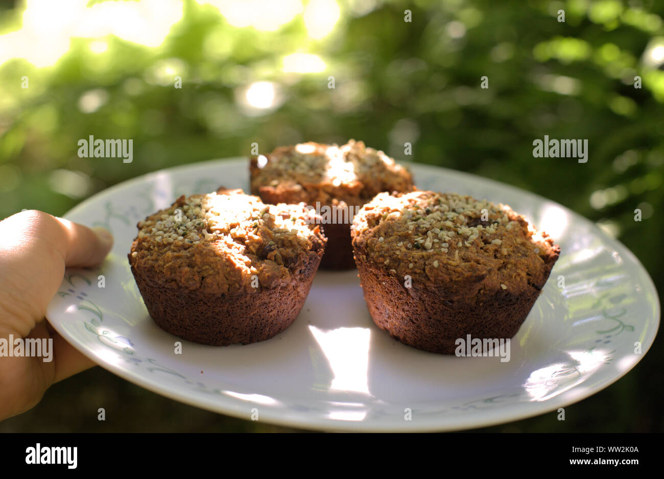 Eine Hand mit gesunden, natürlichen und schmackhaften veganen und glutenfreien Möhren und Rosinen Muffins mit Hanf samen auf eine weisse Platte gekrönt, im Wald Stockfoto