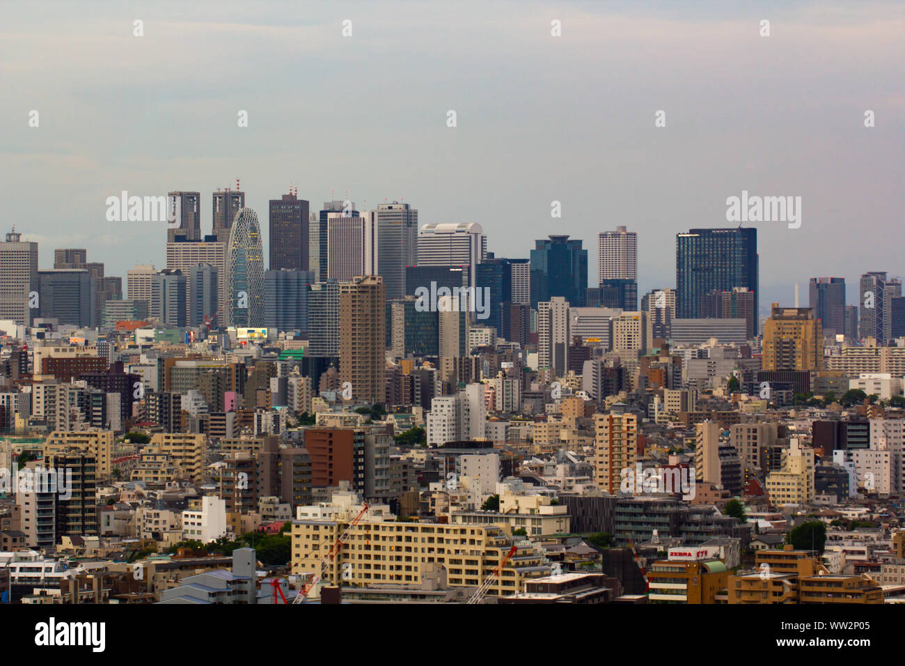 Blick auf moderne Wolkenkratzer in Shinjuku Stockfoto