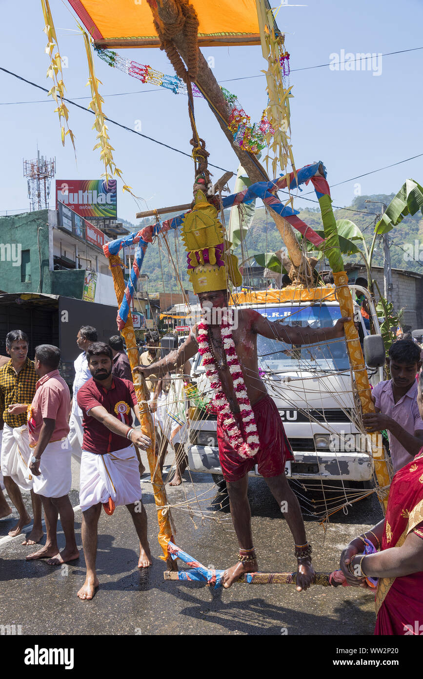 Pussellawa, Sri Lanka, 20.03.2019: Hindu Festival der Thaipusam - Body Piercing Rituale unter dem Blut Mond. Devotee hängen durch Haut aus einem Frame. Stockfoto
