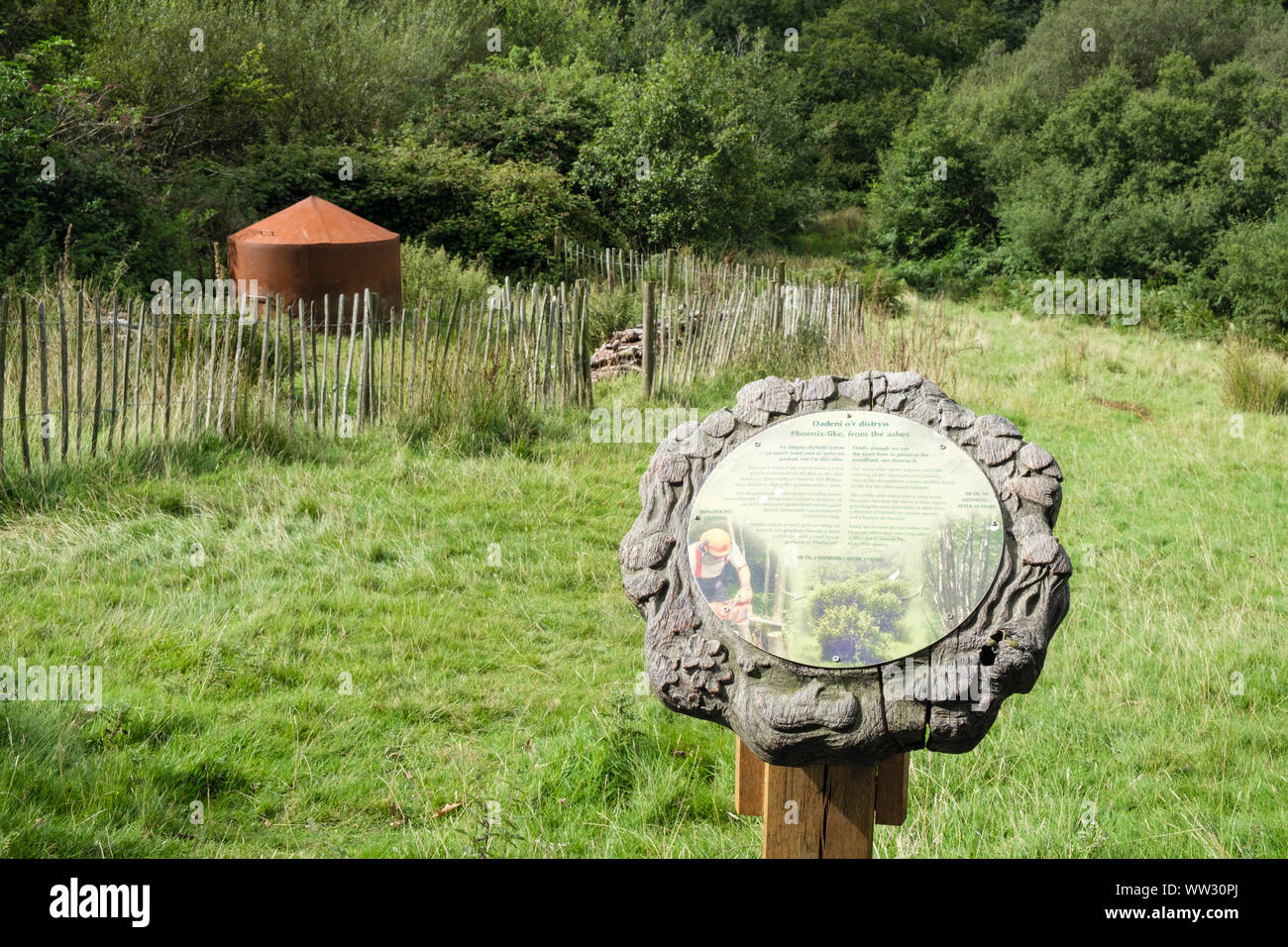 Melden zweisprachige Informationen über schneiden Woodland von Köhler in Coedydd Aber National Nature Reserve. Abergwyngregyn Gwynedd Wales UK Großbritannien Stockfoto