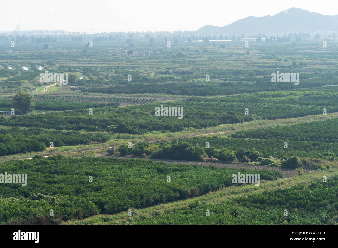 Blick von oben auf die landwirtschaftlichen Flächen. Tal der Felder und Obstplantagen mit Bewässerungsanlage Stockfoto