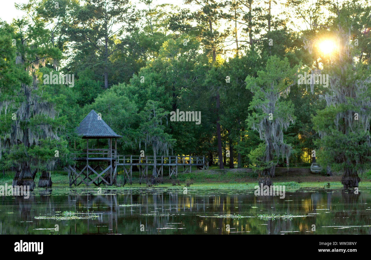 Bayou Wohn Stockfoto