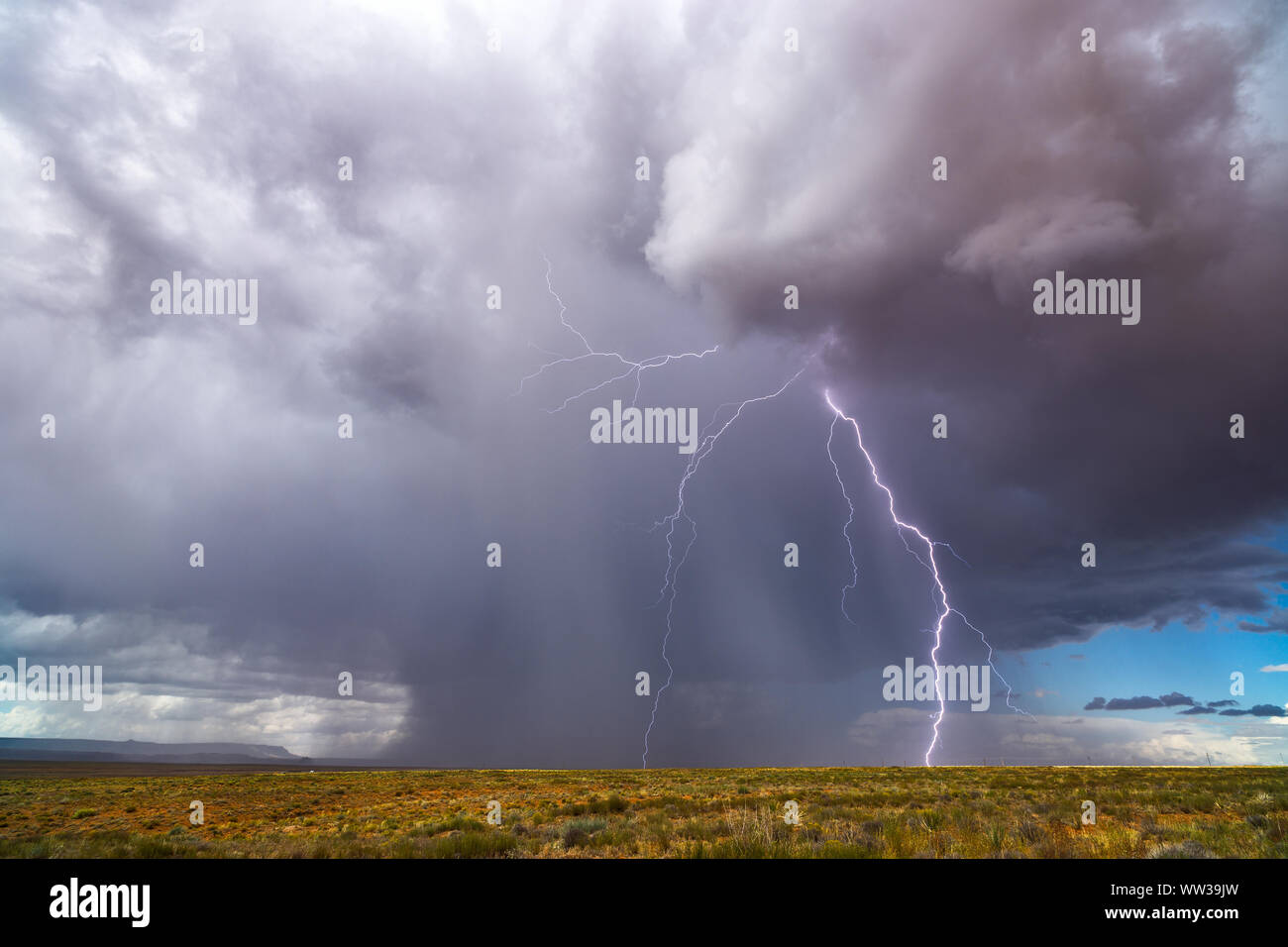 Ein Blitzschlag und heftiger Regen von einer Gewitterwolke in der Wüste in der Nähe von Chinle, Arizona, USA Stockfoto