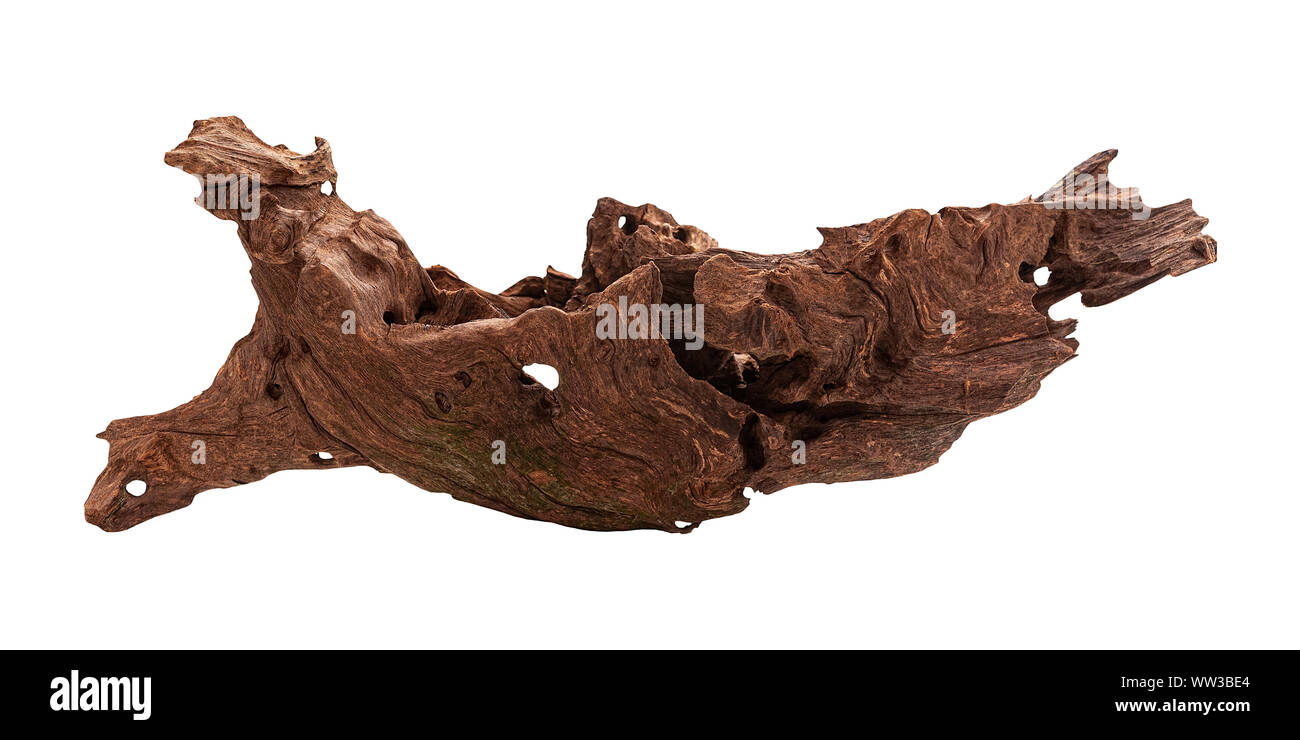 Unregelmäßige Mangrove braun Stück Holz, aquarium Dekoration isoliert Stockfoto
