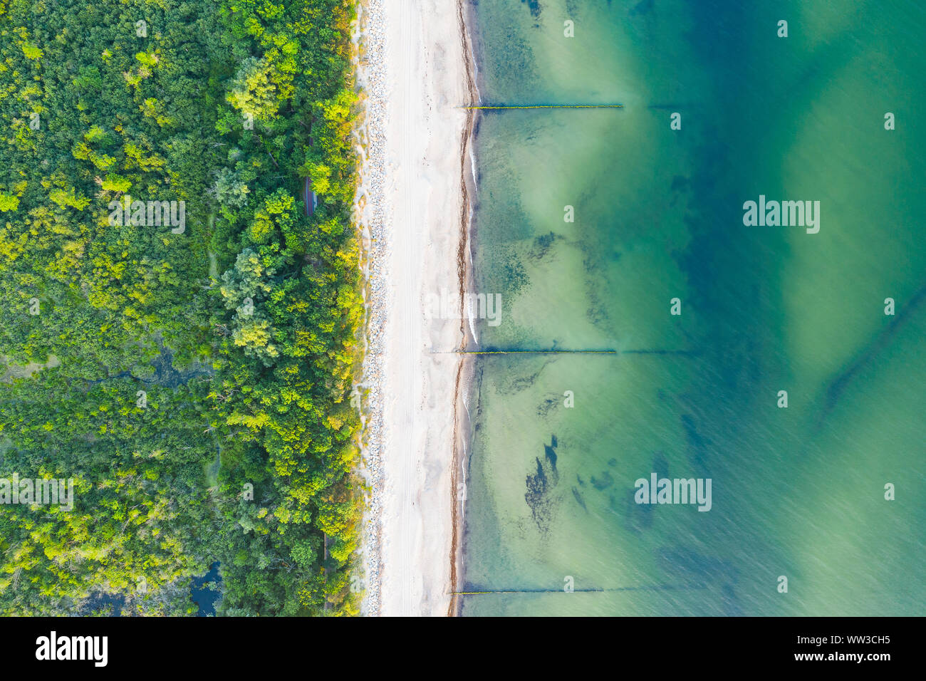 Meer, Strand und Mangroven von oben gesehen Stockfoto