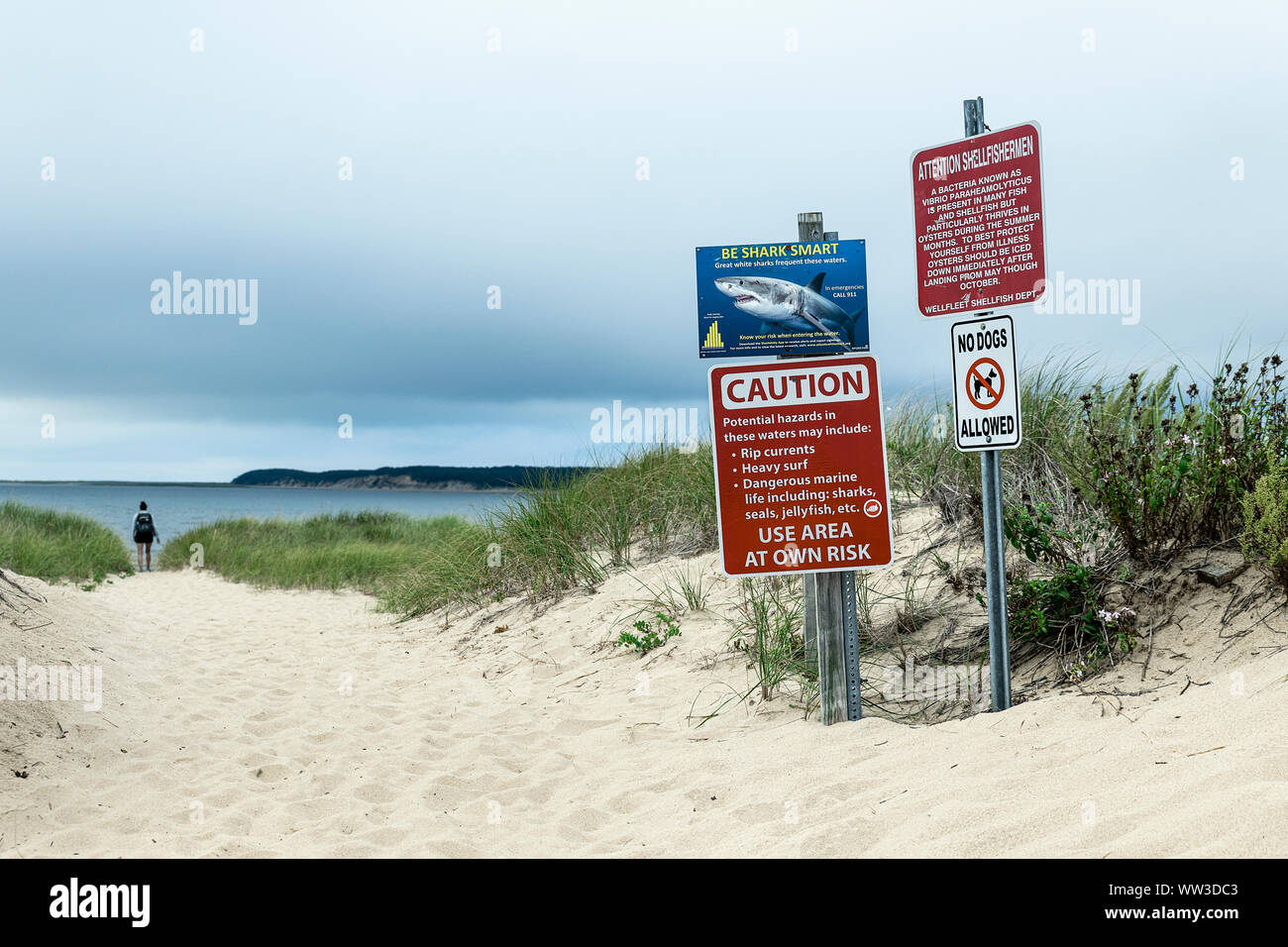 Shark Warnung und Strand Beratung, Wellfleet, Cape Cod, Massachusetts, USA. Stockfoto