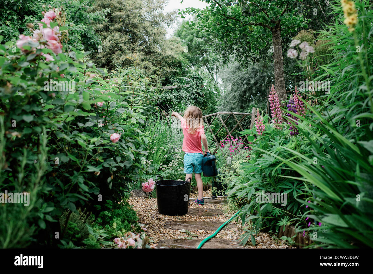 Junge Mädchen die Bewässerung ihrer englischen Garten im Sommer Stockfoto