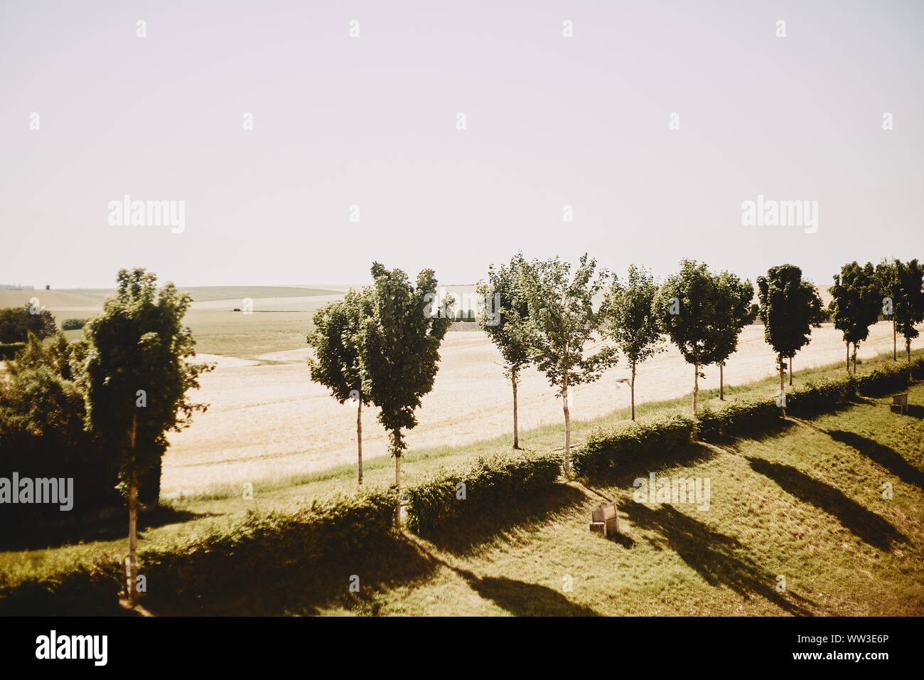 Sommer Felder mit Bäumen und heißen Himmel in Provins, Frankreich Stockfoto