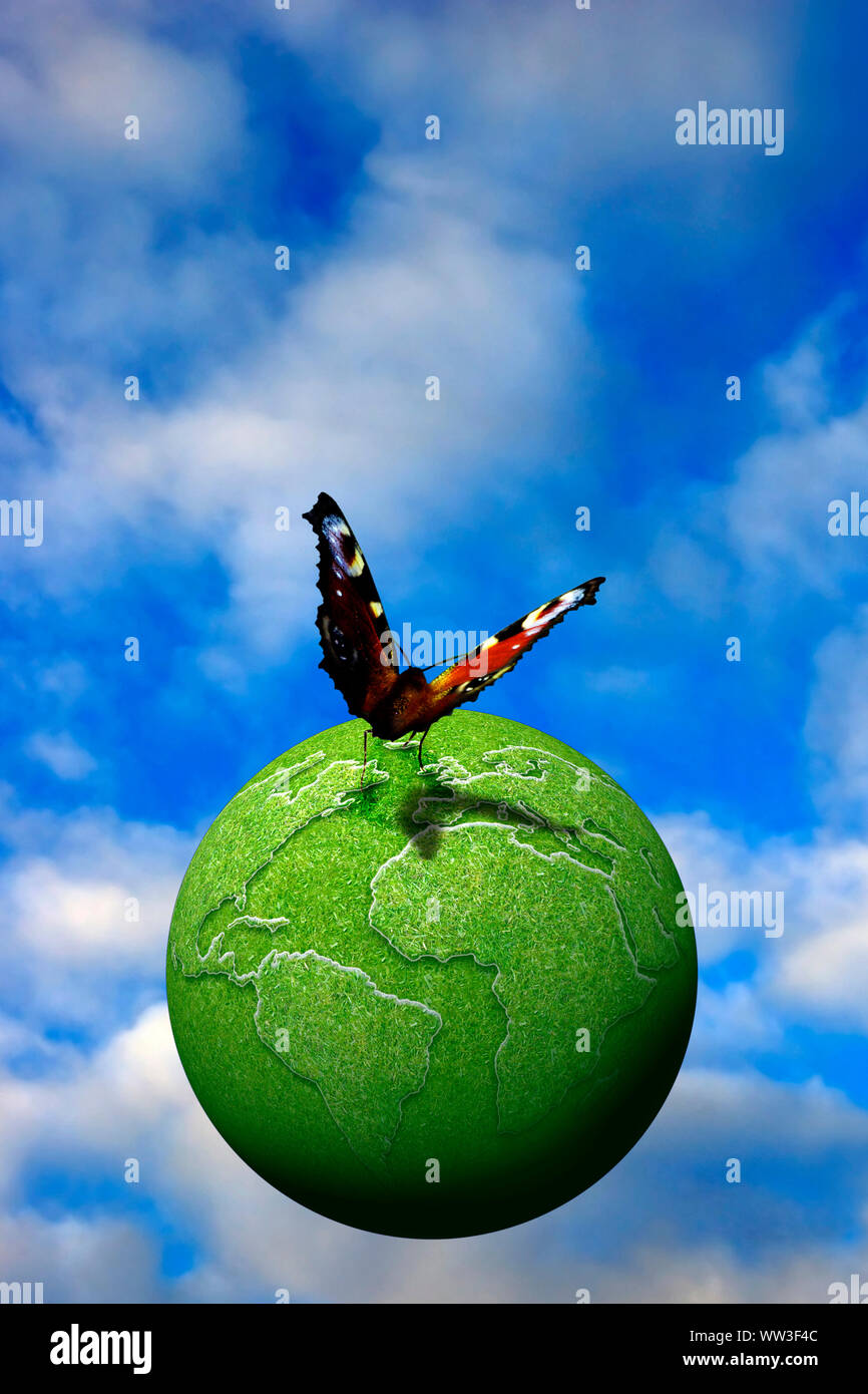 Schmetterling auf einer grünen ökologischen Earth Globus Stockfoto