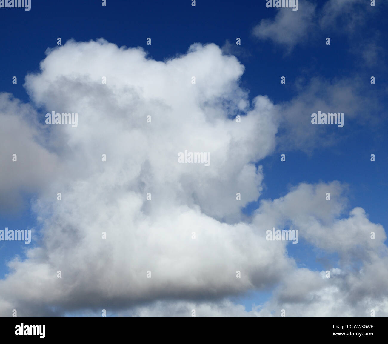 Weiß, cumulus, Wolke, Wolken, blauer Himmel, Himmel Stockfoto