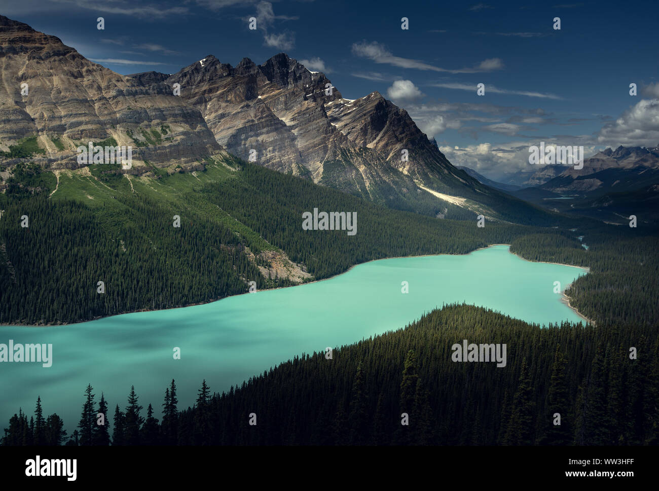 Wunderschönen Peyto Lake, Banff Nationalpark, Alberta, Kanada Stockfoto